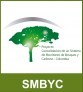 Sistema de Monitoreo de Bosques y Carbono para Colombia